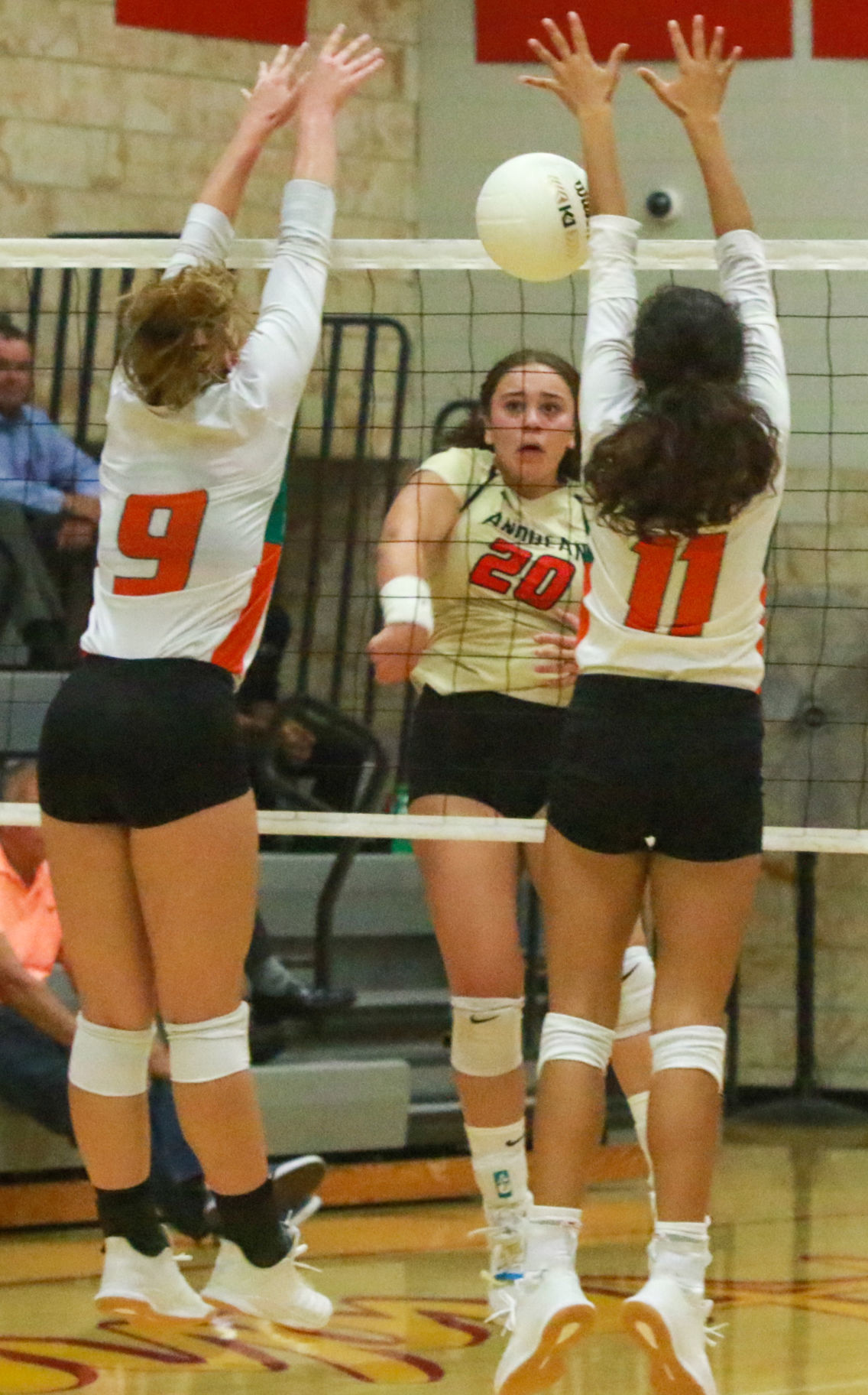 Girls volleyball - Wheeler at Andrean